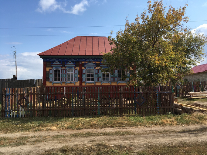 Дом со львом)